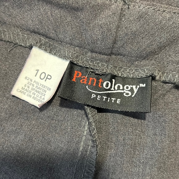 Pantology, gray slacks, 10P - Picture 2 of 6